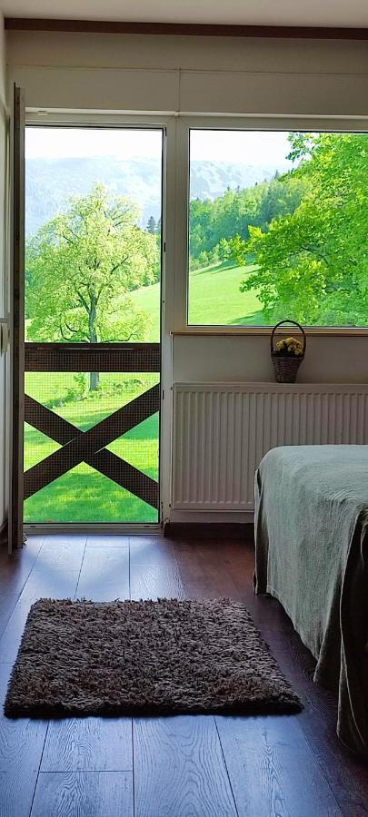 Gorski Widok Karpacz Apartamenty I Pokoje- Salon Kominkowy Buitenkant foto